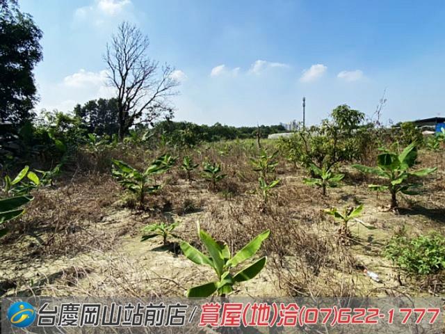 高雄阿蓮農地-6