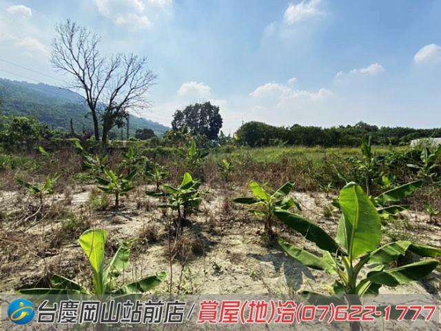 高雄阿蓮農地-7