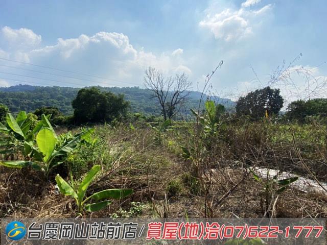 高雄阿蓮農地-8